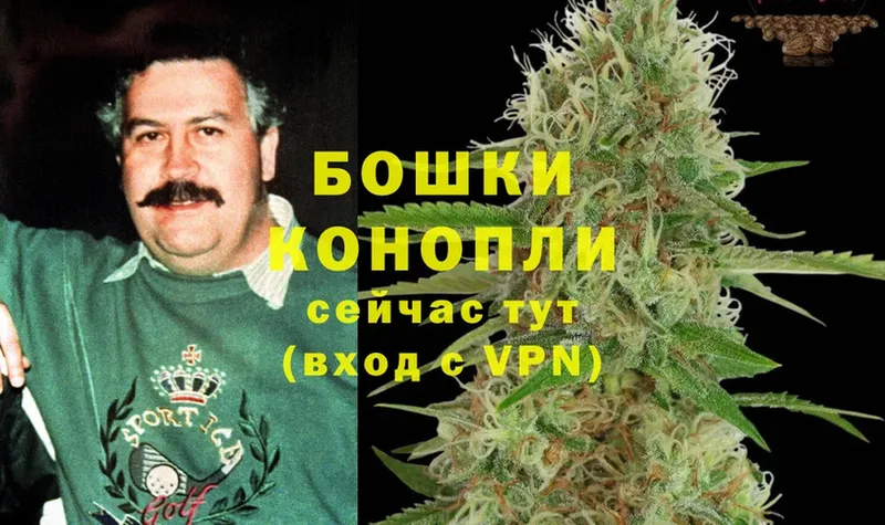 Конопля SATIVA & INDICA  наркотики  Азов 